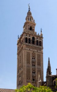 Giralda from orange trees courtyard Seville Spain