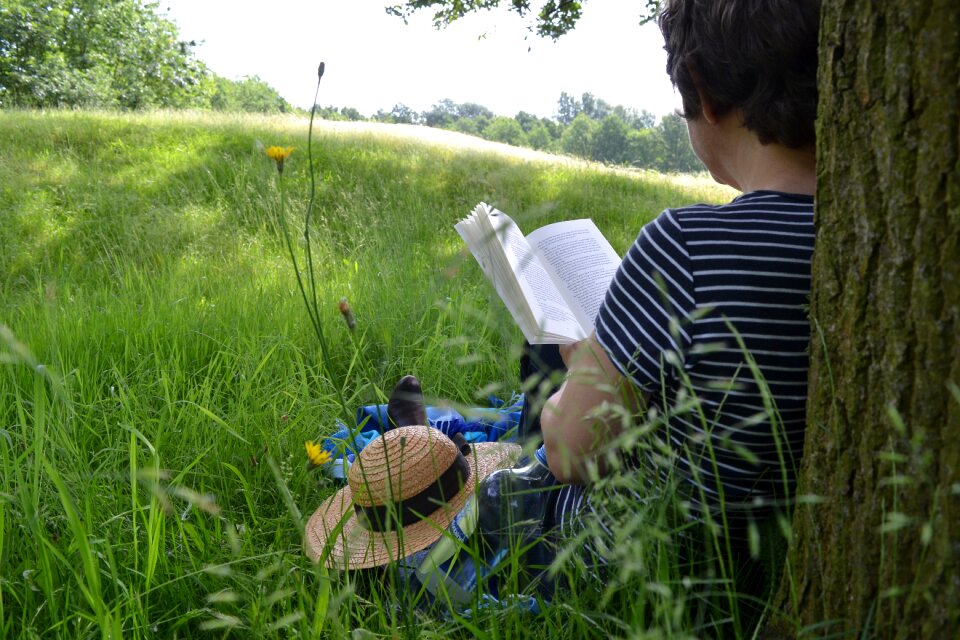 Read literature summer