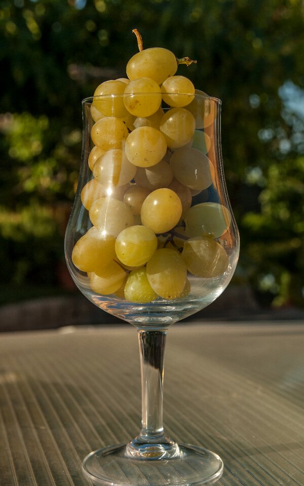 Harvest wine glass walk
