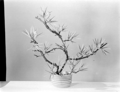 Glasplant in een ronde pot van de fa Marie Chauvel Décoration, Bestanddeelnr 190-0843