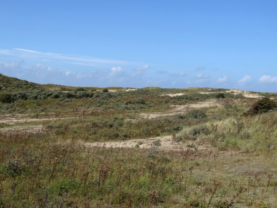 Blue sky dune coast