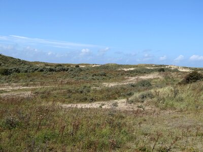 Blue sky dune coast