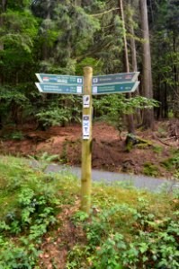 Glashütten, Waldglasweg, Wegweiser