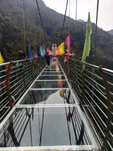 Glass bridge in Longshan National Forest Park, Picture3