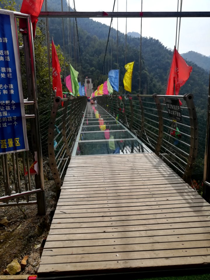 Glass bridge in Longshan National Forest Park, Picture1