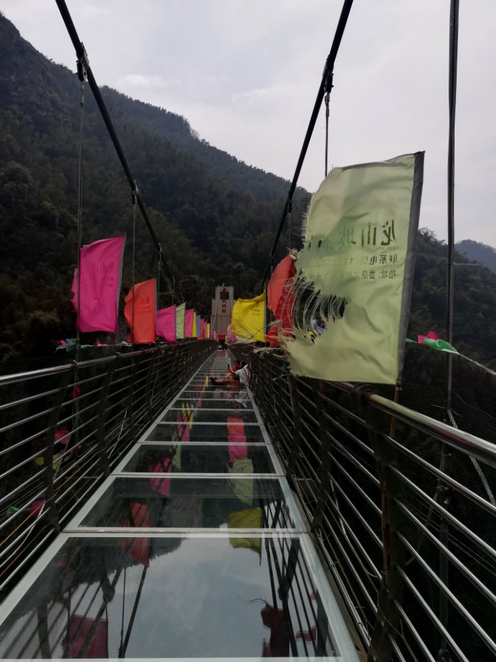 Glass bridge in Longshan National Forest Park, Picture4