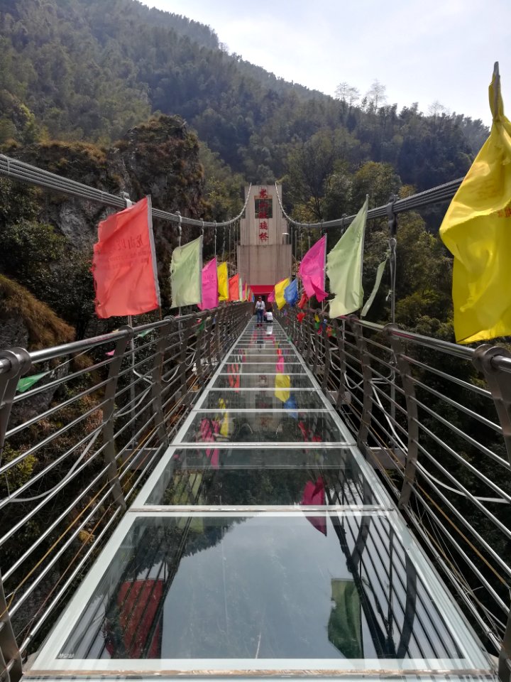 Glass bridge in Longshan National Forest Park, Picture6