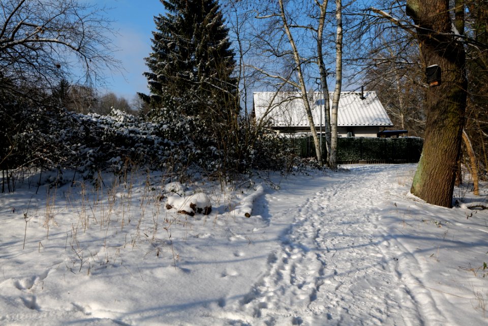 Glühwürmchengrund und Immenweide with snow 2021-02-10 02