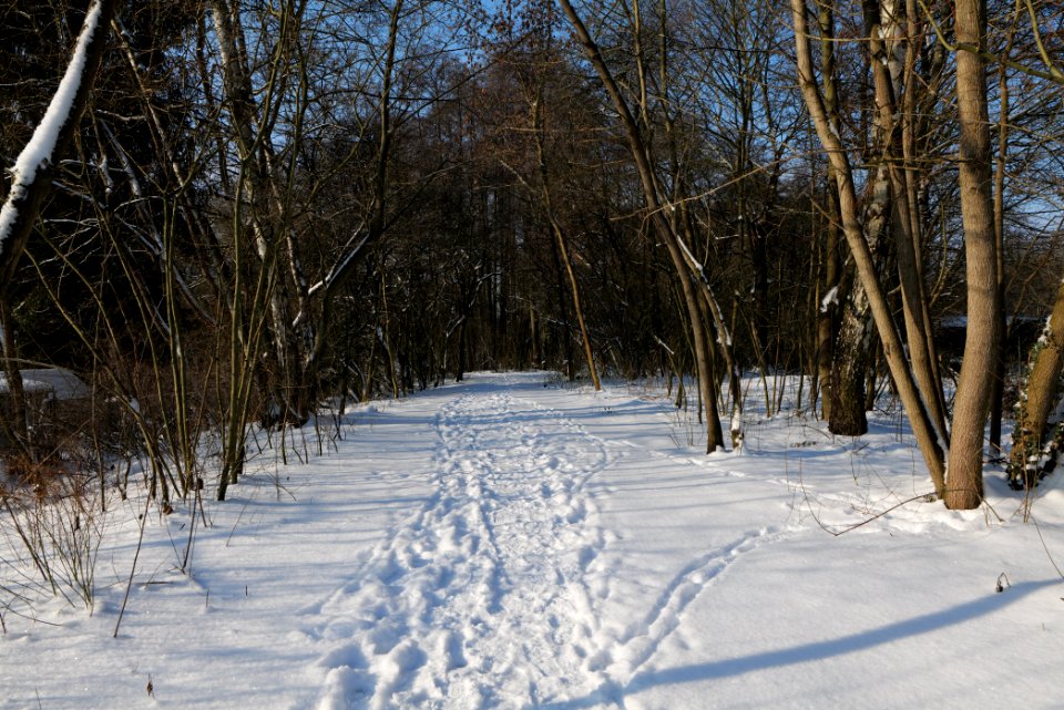 Glühwürmchengrund und Immenweide with snow 2021-02-10 09