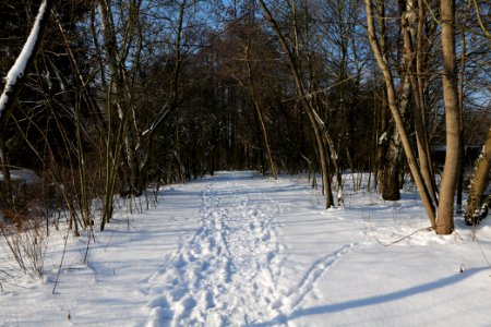 Glühwürmchengrund und Immenweide with snow 2021-02-10 09