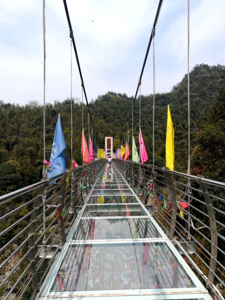 Glass bridge in Longshan National Forest Park, Picture7