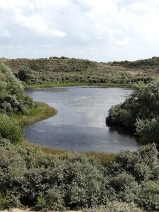 More nature summer