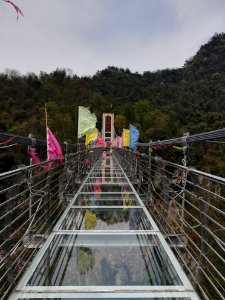Glass bridge in Longshan National Forest Park, Picture5