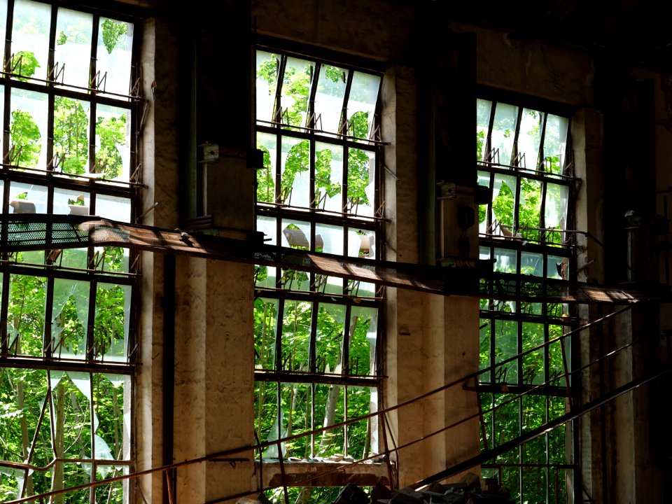 Glass factory Haidemühl 2019-06-05 22