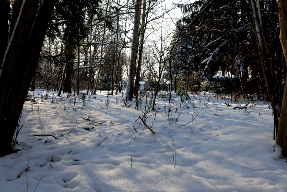 Glühwürmchengrund und Immenweide with snow 2021-02-10 04