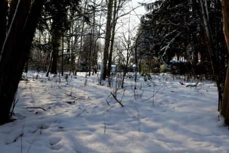 Glühwürmchengrund und Immenweide with snow 2021-02-10 04