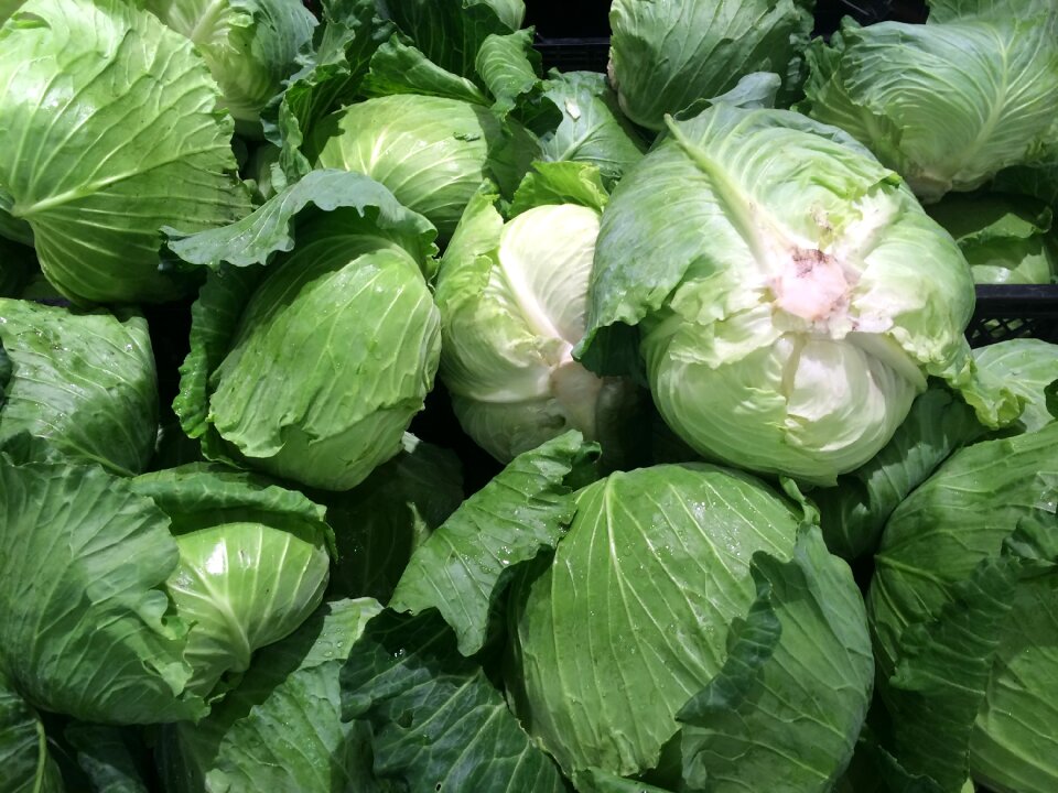 Vegetables seiyu ltd living