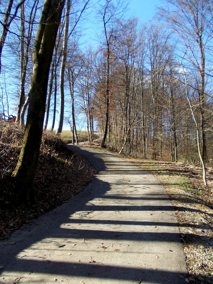 Globoko, Brežice 43