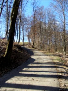 Globoko, Brežice 43