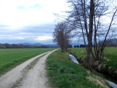 Globoko, Brežice 49