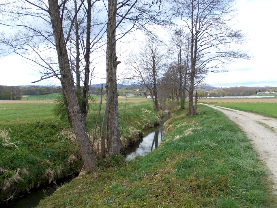 Globoko, Brežice 50