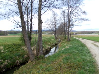 Globoko, Brežice 50