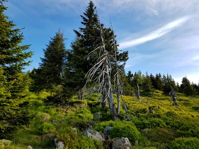 Hiking trails nature mountain trekking