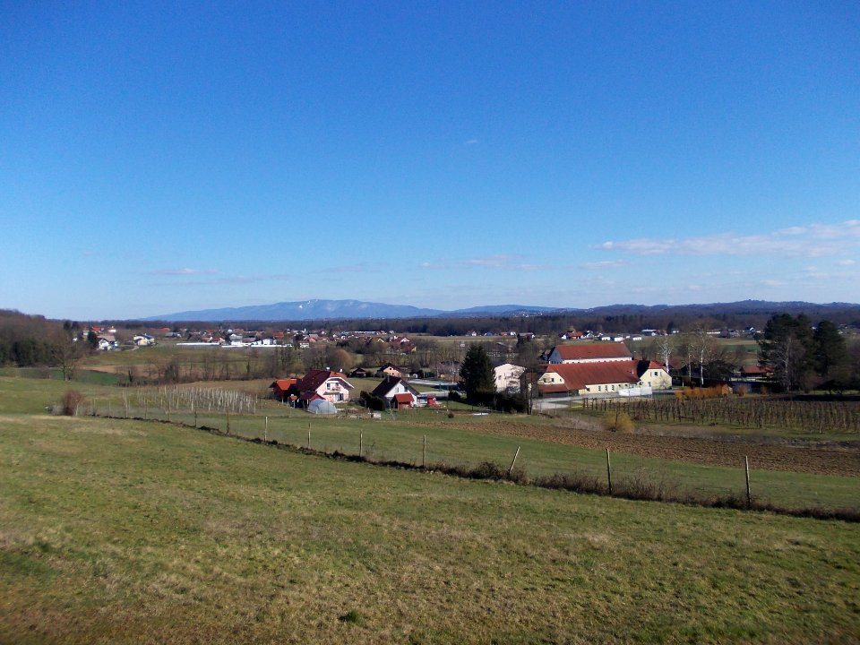 Globoko, Brežice 40