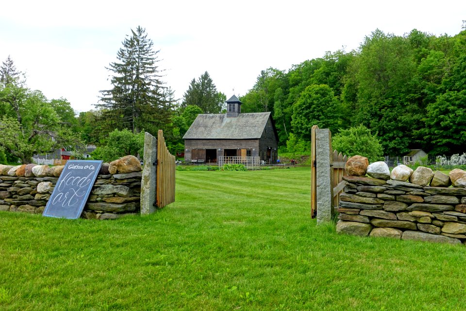 Gloriosa & Co. - Ashfield, Massachusetts - DSC06442