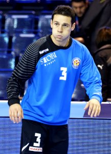 Goce Ojleski 20141130