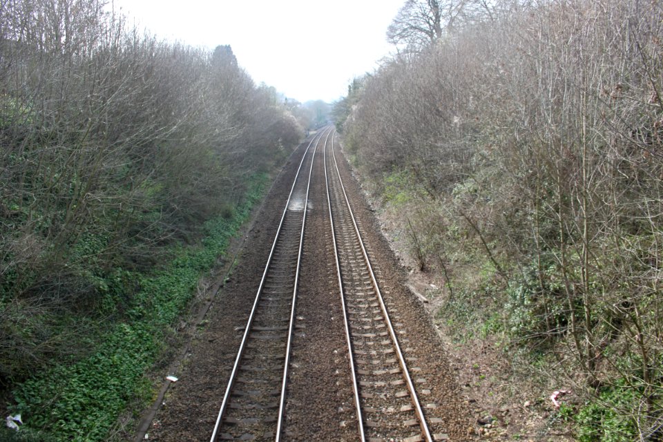 Godminster Lane Quarry and Railway Cutting