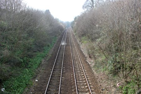 Godminster Lane Quarry and Railway Cutting