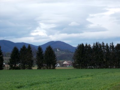 Globoko, Brežice 51