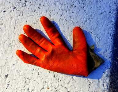 Glove in road - Arlington, MA - 20200925 093725