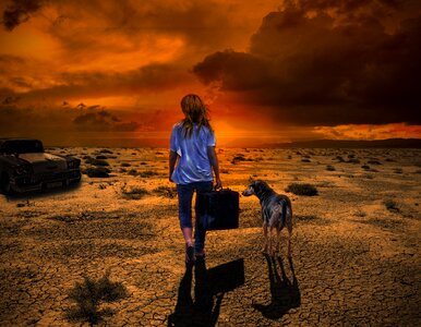 Female together brown dog