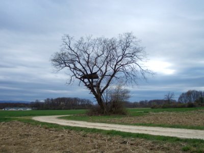 Globoko, Brežice 53