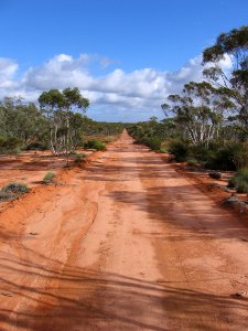 GluePot Reserve