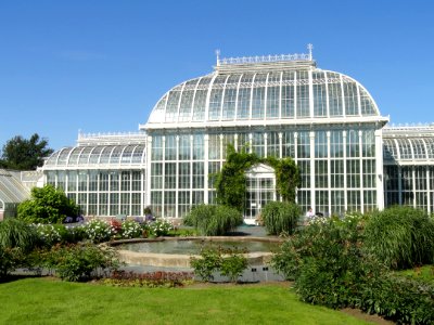 Glasshouses of Kaisaniemi Botanical Garden - DSC03590
