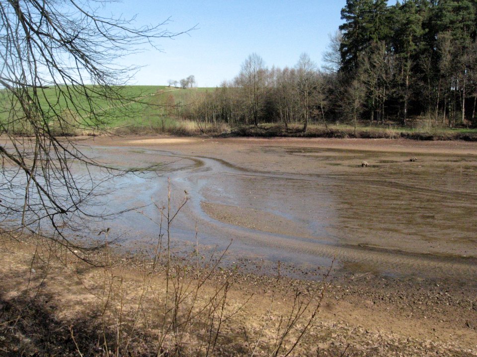 Glasweiher bei Ellwangen, Blick auf den oberen Teil des Sees bei Niedrigwasser