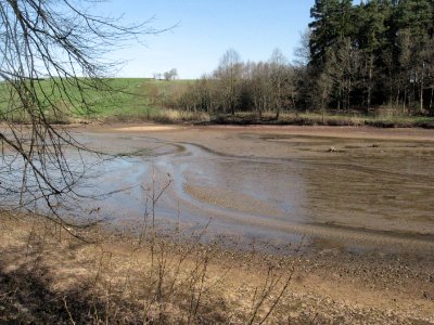 Glasweiher bei Ellwangen, Blick auf den oberen Teil des Sees bei Niedrigwasser