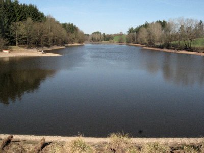 Glasweiher bei Ellwangen, Blick von der Dammkrone seeaufwärts bei Niedrigwasser
