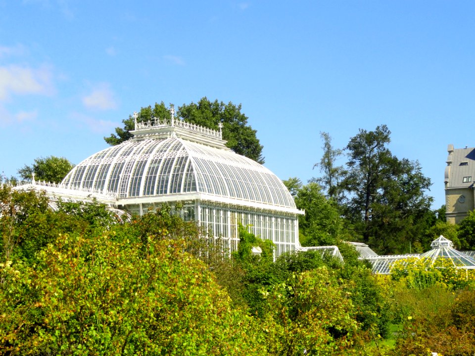 Glasshouses of Kaisaniemi Botanical Garden - DSC03474