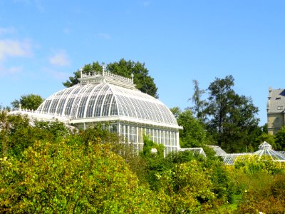 Glasshouses of Kaisaniemi Botanical Garden - DSC03474