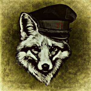Cap animal wild