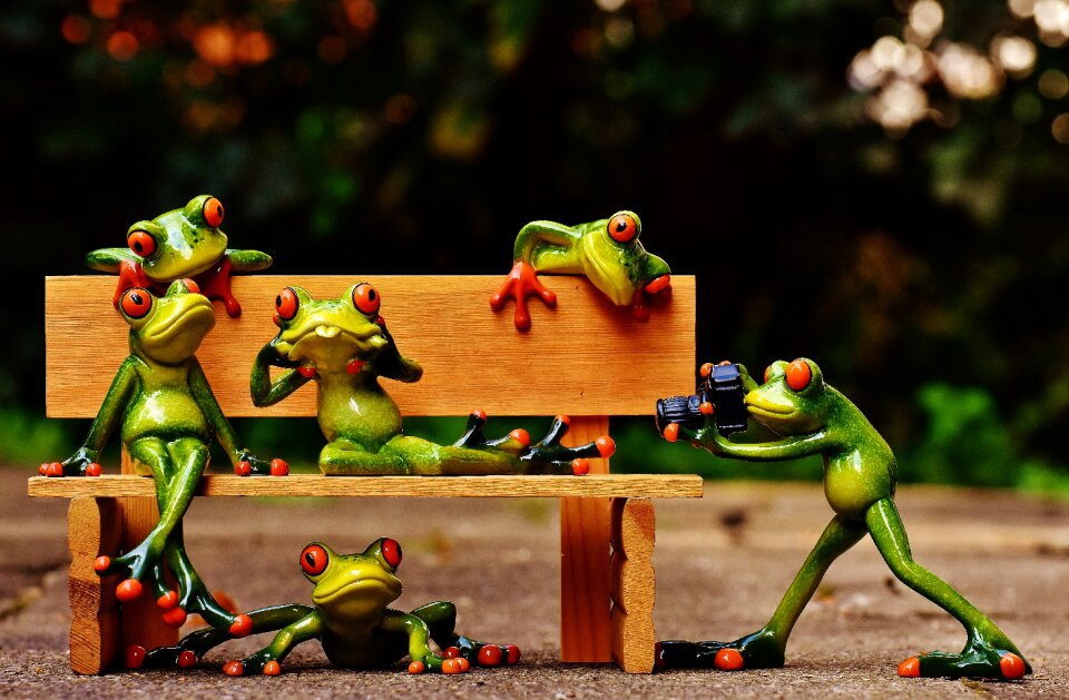 Bank bench relaxed