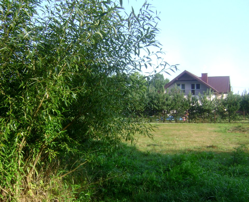 Gmina Góra Kalwaria. Dobiesz 001