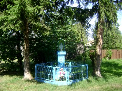 Gmina Góra Kalwaria. Borki A004