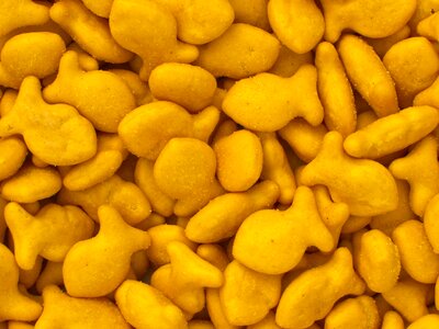Goldfish crackers orange food