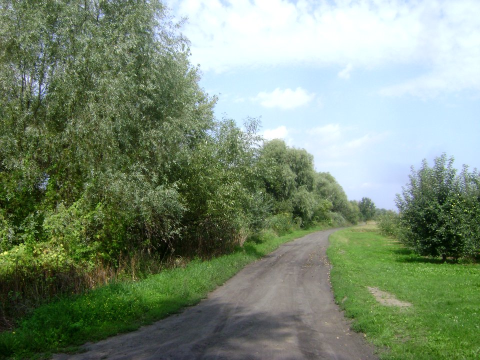Gmina Konstancin-Jeziorna 348