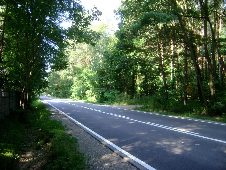 Gmina Tarczyn. Leśna Polana 011
